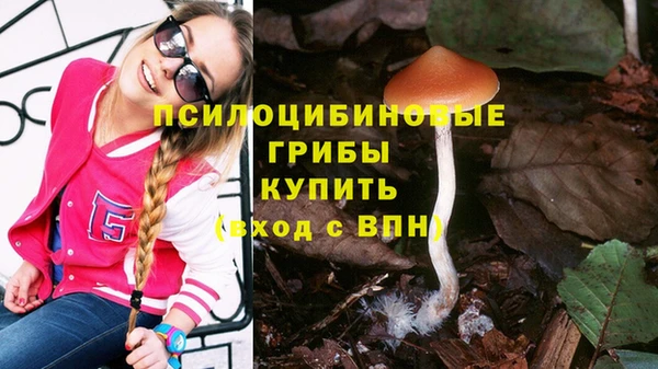 соль ск Бородино