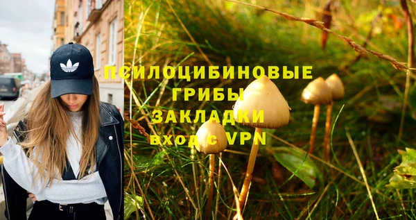 твердый Бугульма