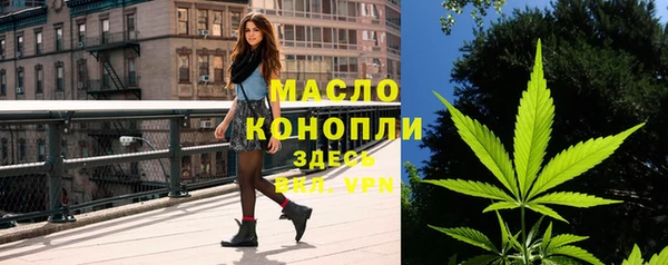 соль ск Бородино
