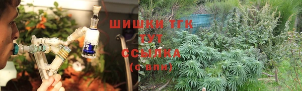 соль ск Бородино